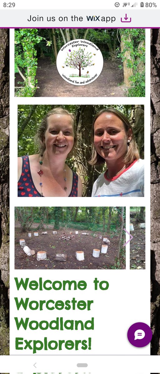 We've got our own website! worcesterwoodlandexplorers.co.uk
