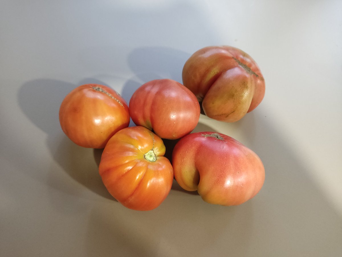 Mi vecina... así...cada día 🥰