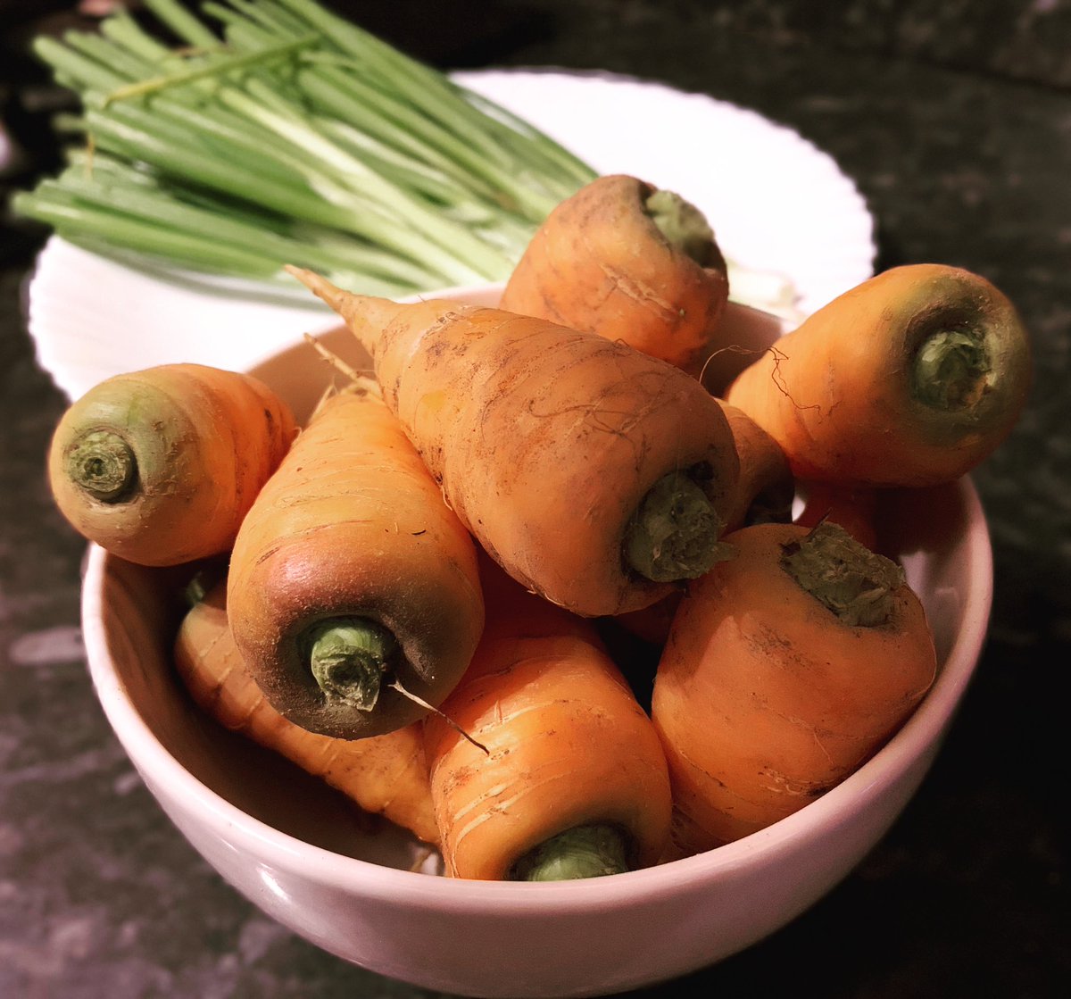 YorkshireSnapper tweet media