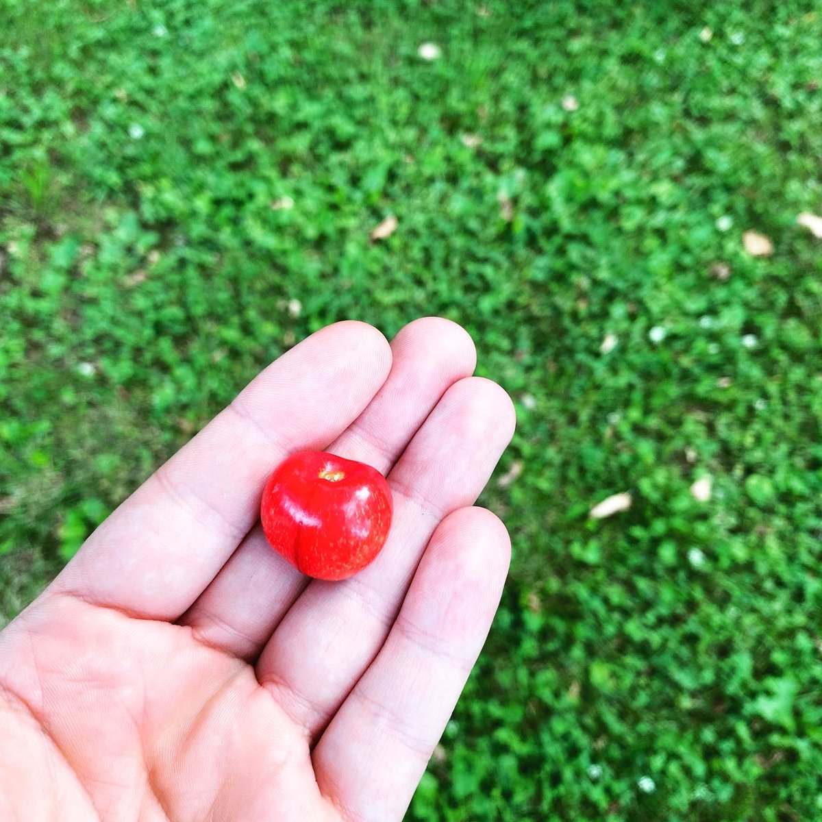 Tincture Co. (@mixwhiskey) on Twitter photo 