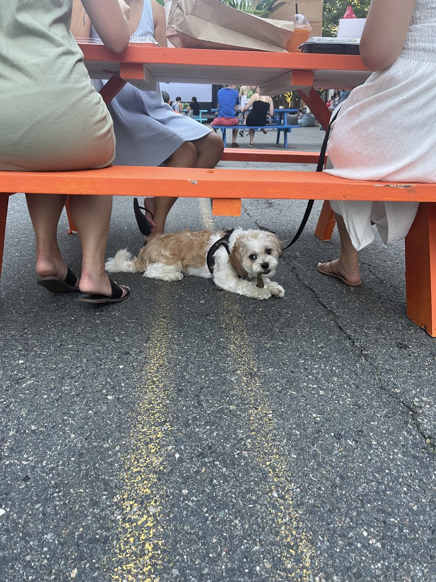 A pawsitively perfect night for a movie <a href="/stnlandingapts/">Station Landing Apts</a> Medford last Thursday!  Thanks to all the residents and furry friends that came out for the Movie Under the Stars Event! #LoveWhereYouLive #DogFriendlyLiving #NDCommunities
