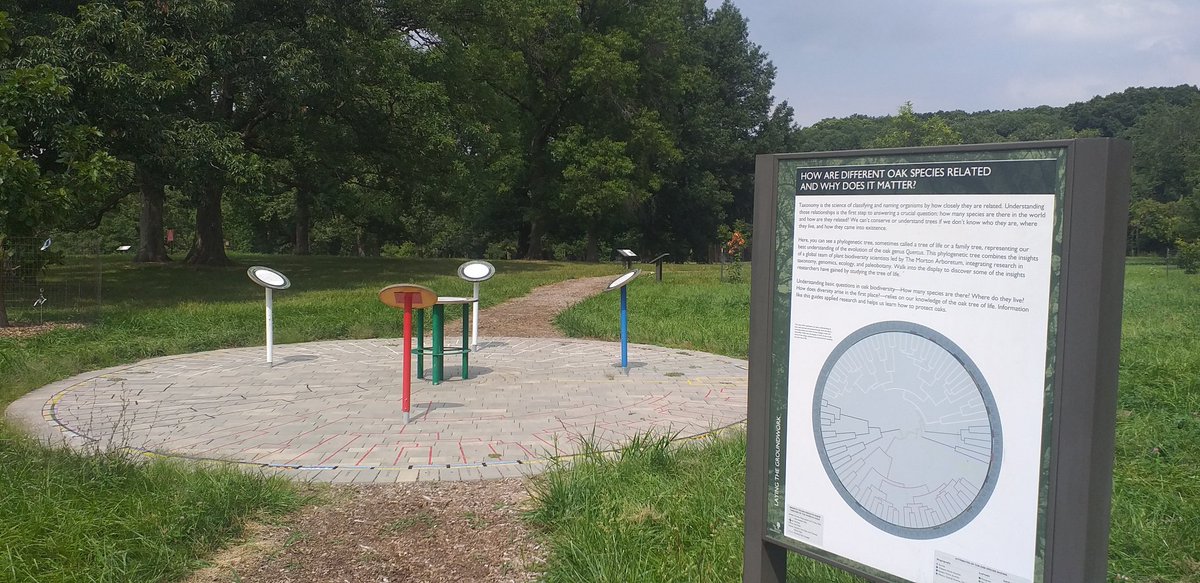 MEscudero_Carex's tweet image. Outdoors science exhibition #gatewaytoscience @MortonArboretum i wonder who may have  designed this part @AndrewLHipp