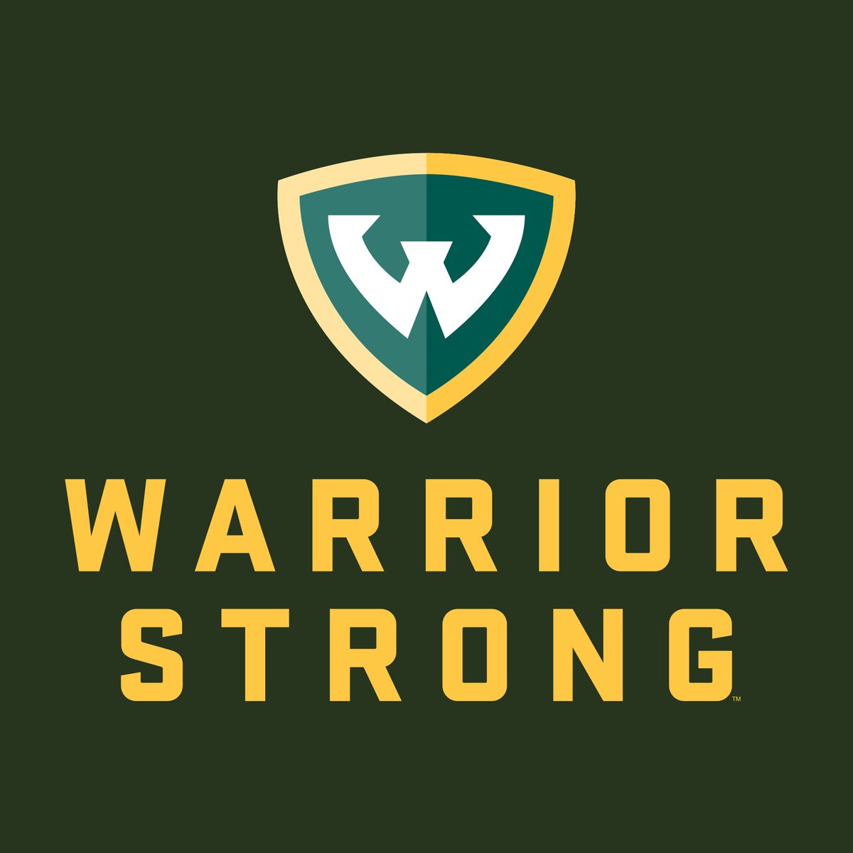 waynestatealum's tweet photo. We are excited to welcome our students, faculty, and staff back on campus this fall. We are hopeful that we will see some of our incredible alumni soon as well. The energy and life that everyone brings to campus is unmatched.
#WarriorStrong #FallReturn https://t.co/vsdeaQsTQy