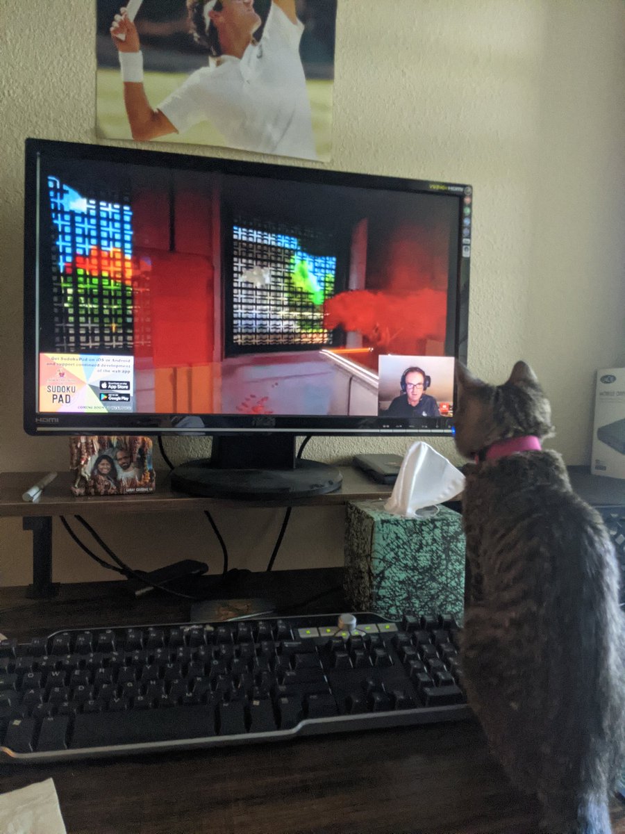AdvanTejas's tweet photo. My cat is addicted to Simon solving The Witness😂 @crypticcracking https://t.co/aejRJpwoLz