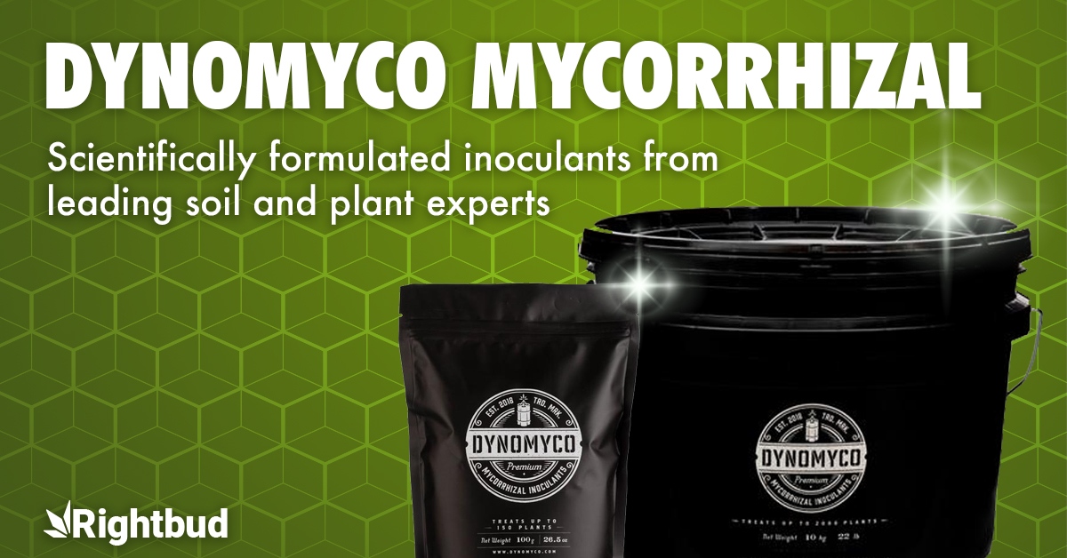 RightbudUSA's tweet photo. Want healthier and more potent plants? New Dynomyco products are here!

https://t.co/8kPAyIcZNj

#dynomyco #dynomycoinoculants #soilfoodweb #livingsoil #growyourown #garden #fungi #mycorrhiza #mycorrhizae #grower https://t.co/YyA7GvIACH