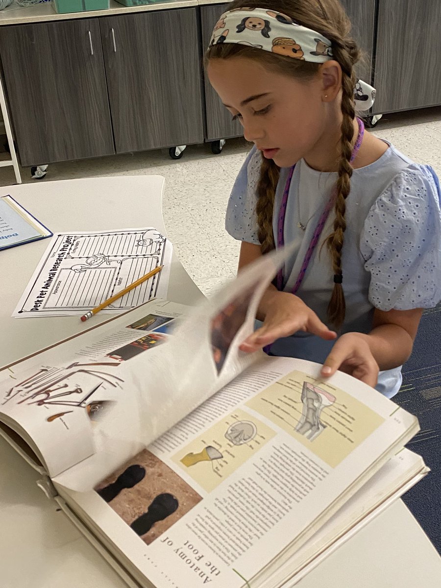 Shannon Henderson tweet media