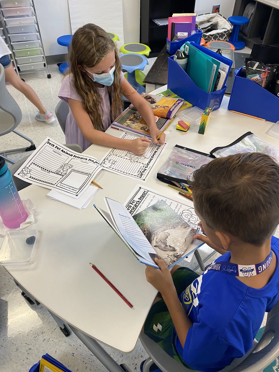 Shannon Henderson tweet media