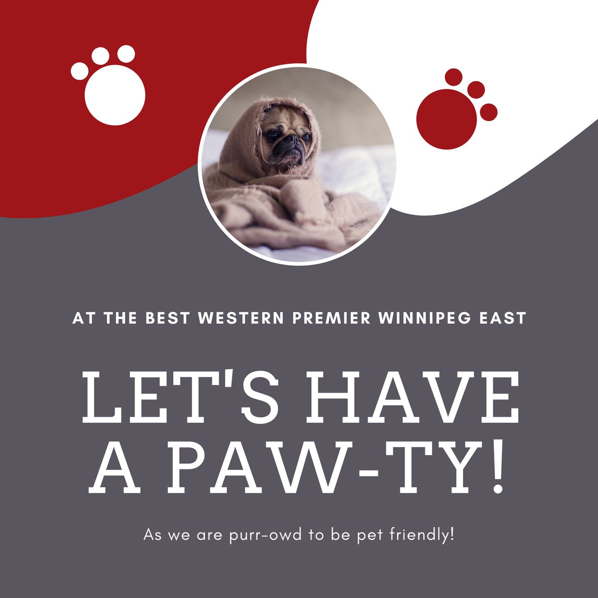 Don't leave your furry family
members behind! 🐶
We are proud to be a pet friendly hotel and happily
welcome pets. Please note additional pet fees apply.

#pets #hotel #PetFriendlyHotel #puppers #YWG
#winnipeg #BWPW #bestwestern