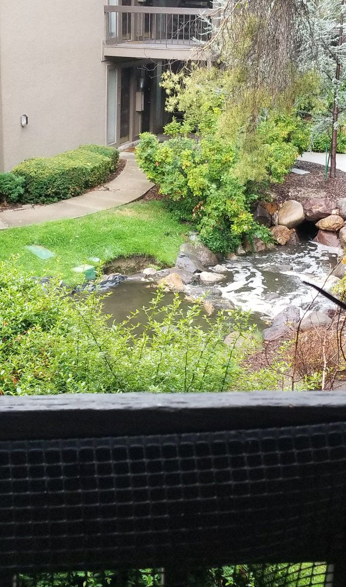 TrentParker67's tweet image. #utwx flooding in Murray-Holladay. First pictures taken at 10:52am this morning, latest at 2:10pm local time.