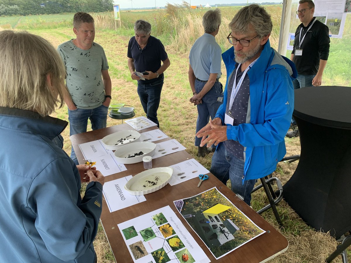 harrysfarm's tweet photo. Wat een geslaagde dag #flevolandbloeit goed georganiseerd door @FACFlevoland en @FlevoNieuws. Mooie inloopdemo #akkerranden #biodiversiteit #slootkantenbeheer #agrarischnatuurbeheer #schonerwaterflevoland met goede discussies en gesprekken. https://t.co/nMjcCLYe1i