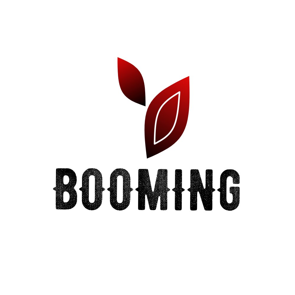 LDesign999's tweet image. BOOMING LOGO DESIGN
#logodesign #logotype #logomaker #logodesigns #logos #logoreveal #logodesigner #designtwitter