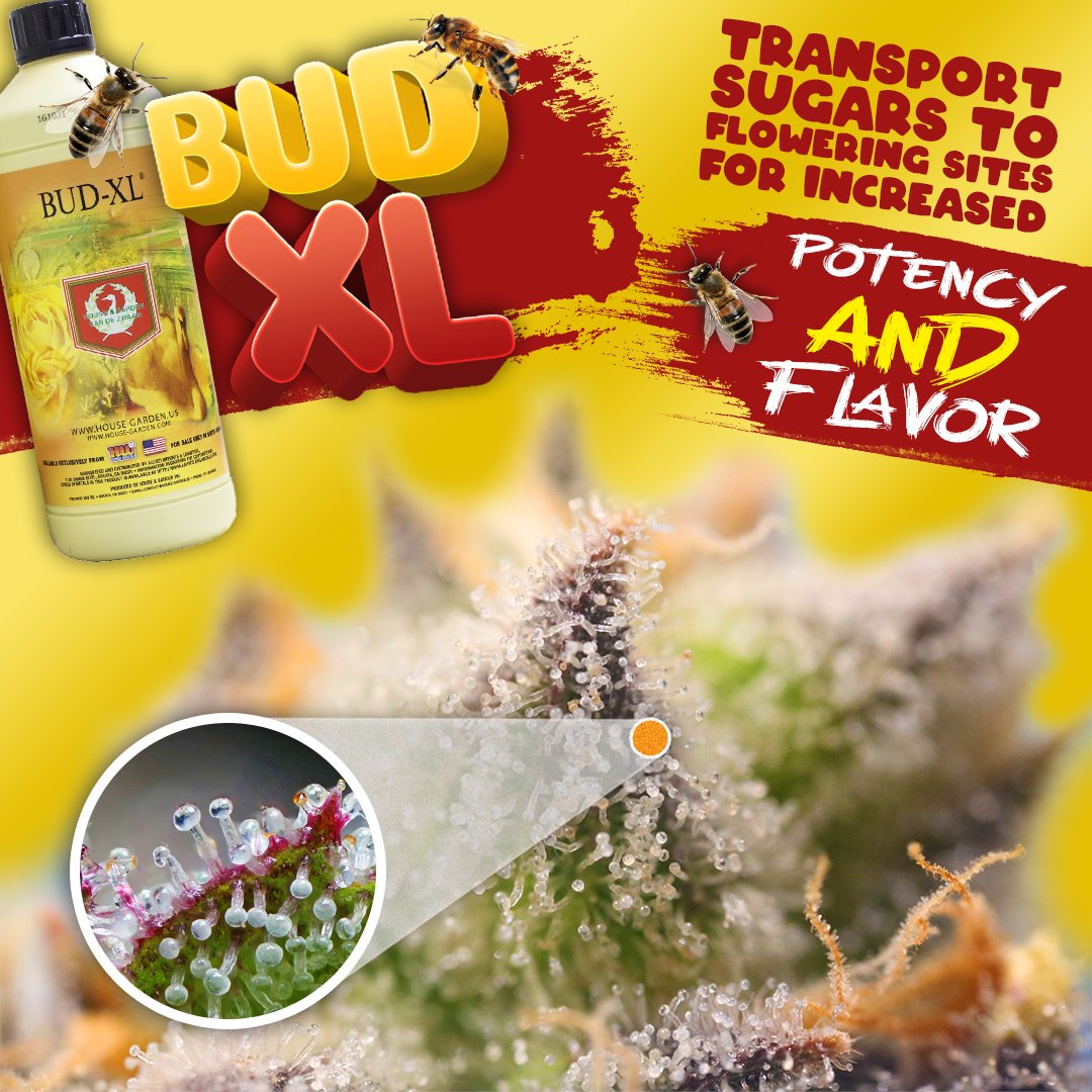 House & Garden Nutrients tweet media