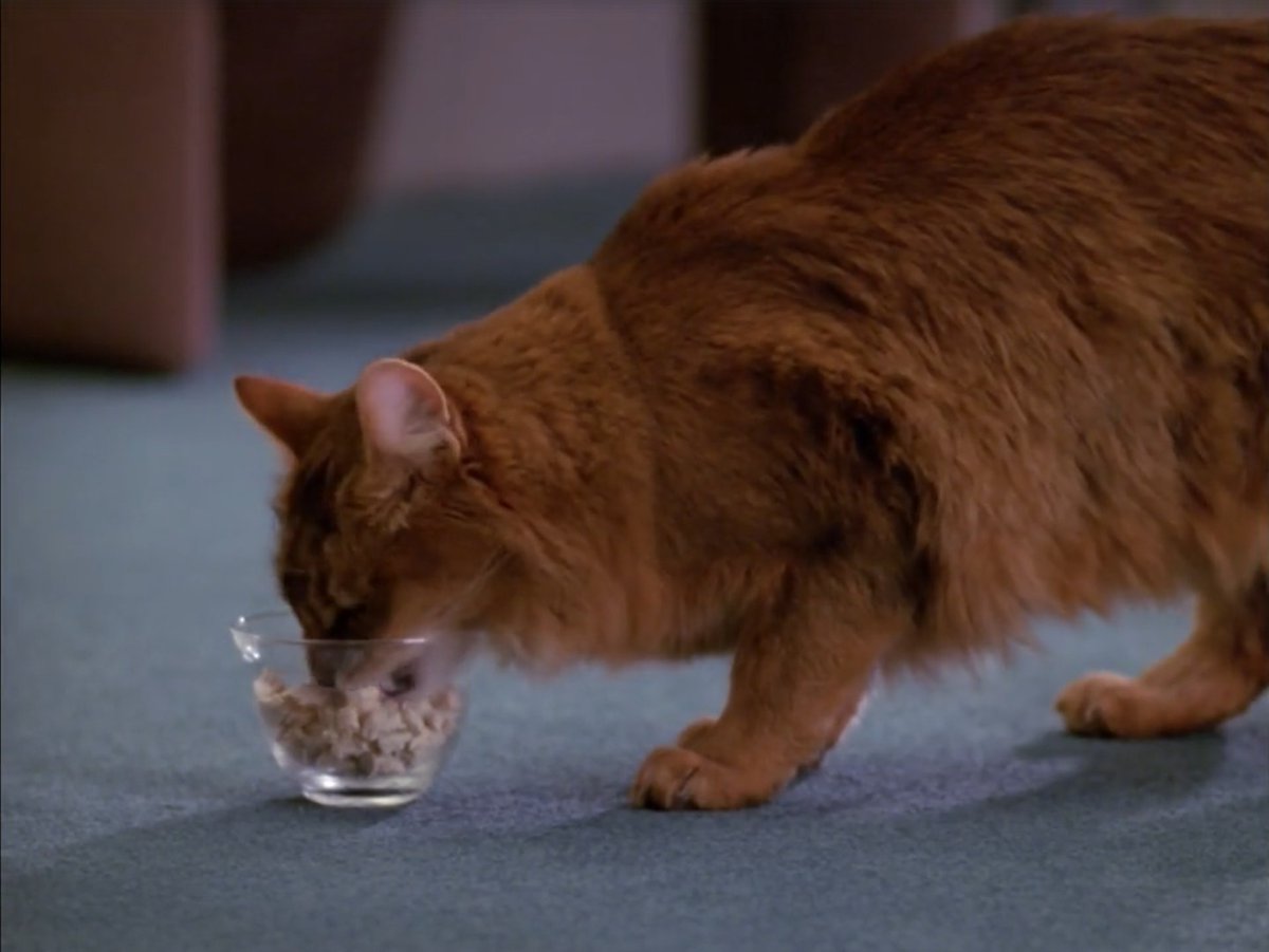 [4x11 - 'datas day']