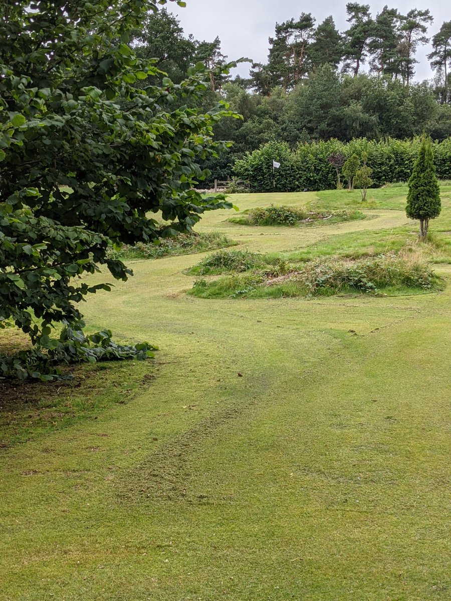 LickeyHillsGolf's tweet photo. 3 of our 6 tri-golf holes at Lickey Hills children's golf course , great tricky golf course , kids and adults alike live it , plastic clubs and foam balls #kids #Summer_Holiday #summerholidays #cheapstuff #birmingham #brum https://t.co/hHFCq2FFGm