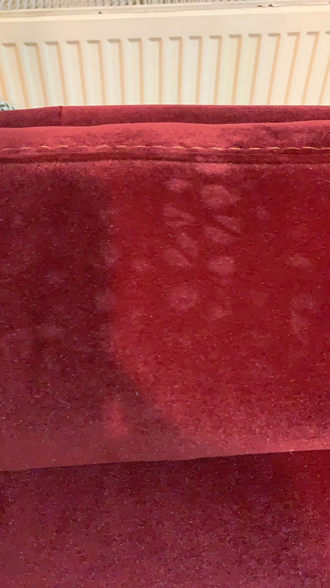 BURÇİN ZEYBEK tweet media