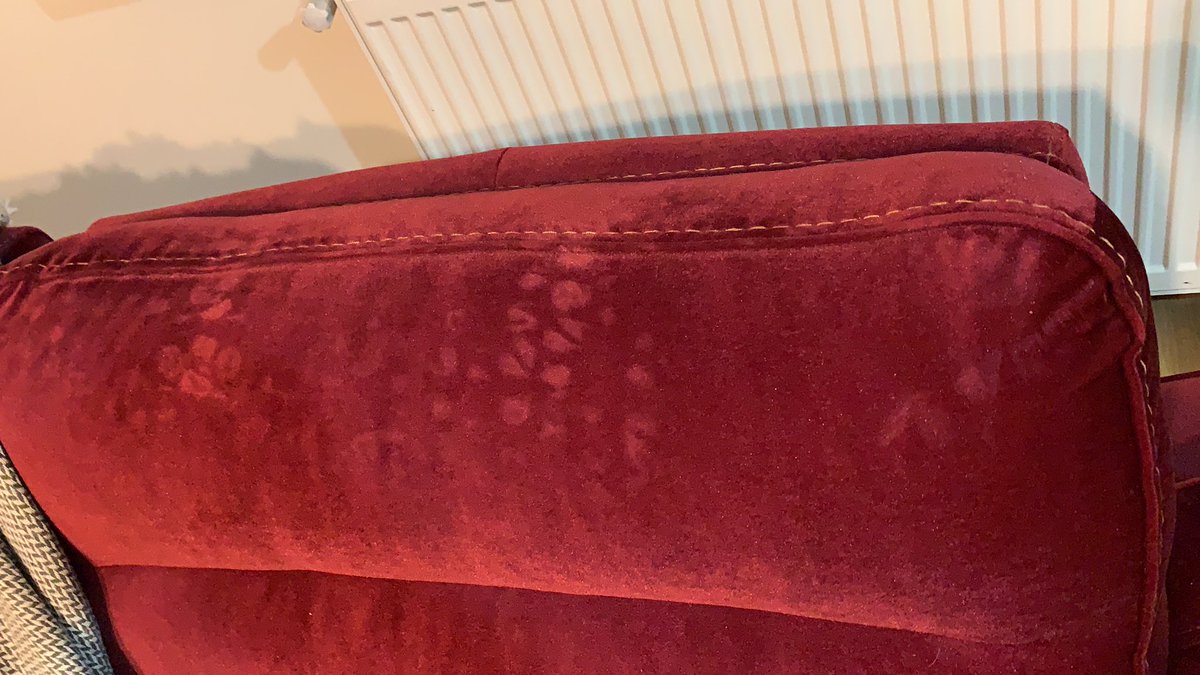 BURÇİN ZEYBEK tweet media