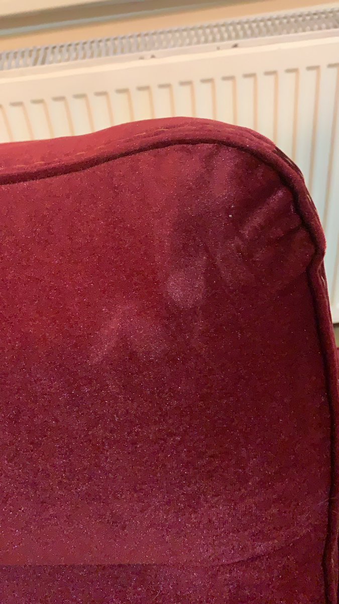 BURÇİN ZEYBEK tweet media