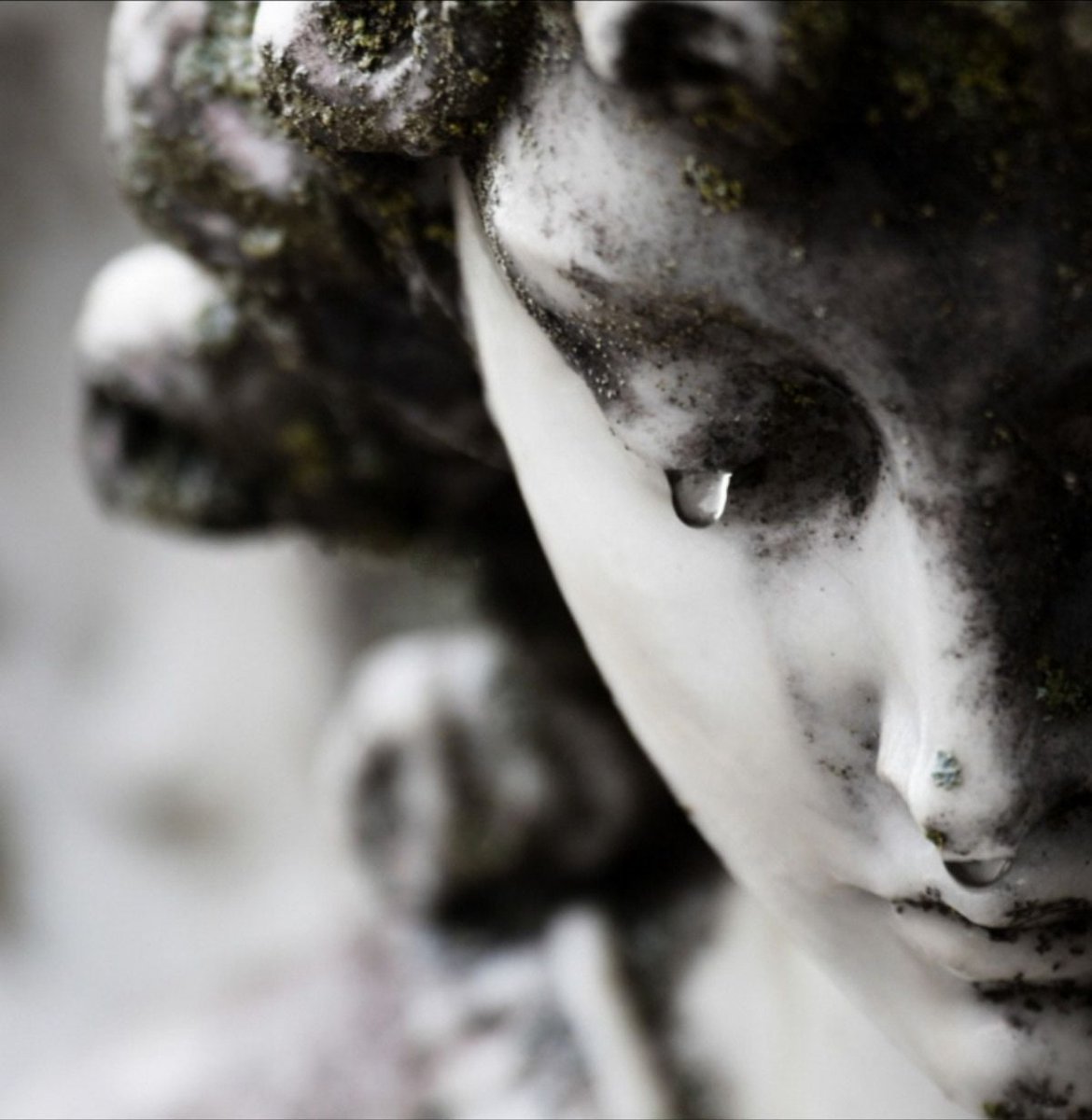 "Es lebe die Freiheit."  
Letzte Worte von Hans Scholl, letzte Worte vor seiner Hinrichtung am 22. Februar1943.
Und heute ist die Freiheit weltweit wieder in Gefahr oder schon abgeschafft wie in Afghanistan, Belarus, Honkong-China, Ungarn, Russland und vielen anderen Staaten.