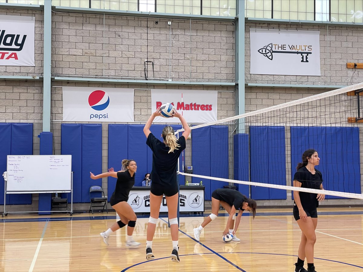 CSN_Vball's tweet photo. Lady Coyote Volleyball sharpening its skills with its opening match versus Pima CC just 8 days away…⏰⏰⏰
🐺🏐 #FearThePack #PackMentality #CountdownToMatchDay https://t.co/4mBAC4HKaR