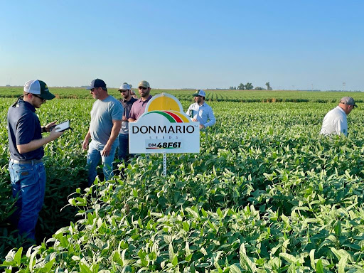 We were so excited to host our Midsouth DONMARIO Mas field days in Jonesboro and Stuttgart, AR this week with our Midsouth partner, @StrattonSeedCompany! It was a pleasure meeting with our Midsouth retailers and walking plots together! We're #SeriousAboutSoybeans