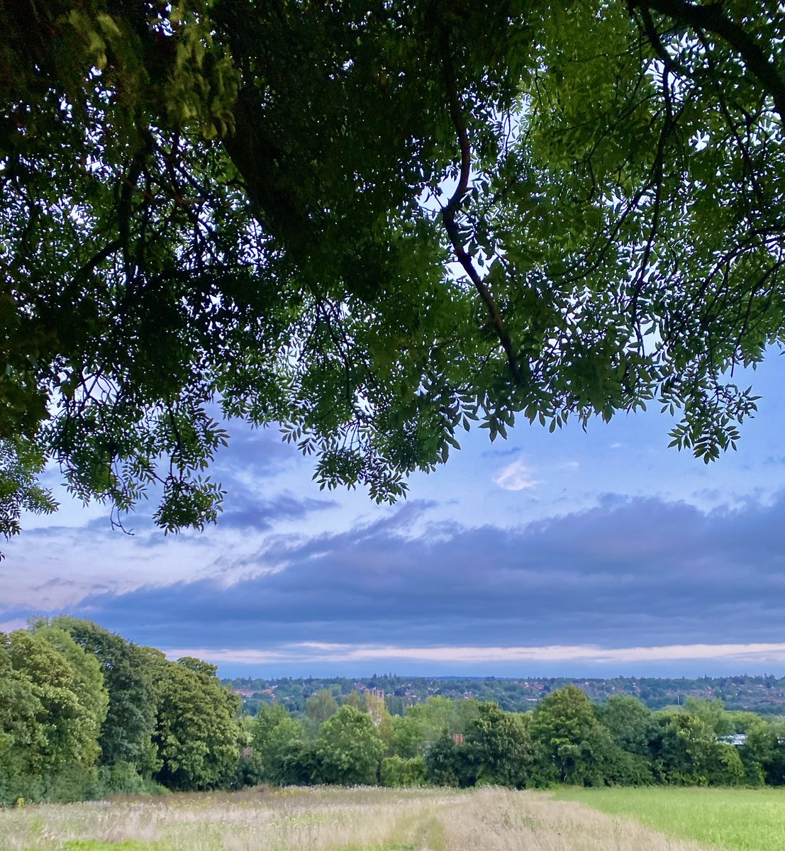 Beautiful run up to Caesar’s Camp this evening with <a href="/FarnhamTownRC/">Farnham Town Running Club</a> - I was tempted to go out with a slightly slower group and give my legs a break, but I couldn’t miss out on these views 😍
