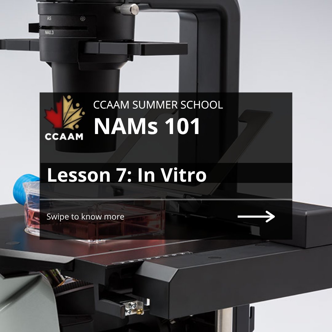 CCAAM_CaCVAM's tweet image. Hello everyone! This is the one you've all been waiting for - our final #SummerSchool lesson is all about #invitro non-animal methods! Full lesson on insta: bit.ly/3iXQ3mi #cellmodels #organoids #organonachip #3Dbioprinting #ThinkOutsideTheCage