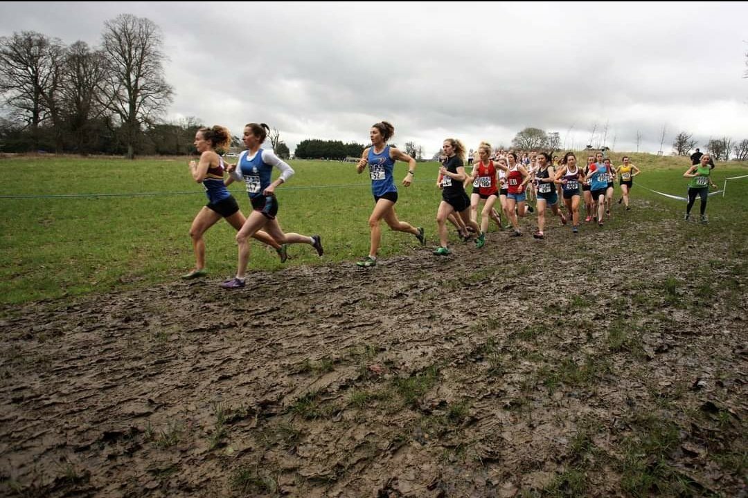 We are delighted to announce that the IUAA Cross Country competition  will take place on the 26th of September 2021 at St. Clare's - DCU sports Campus. 

We look forward to hosting this even with @dcu_athletics and seeing all our athletes and colleges in September!