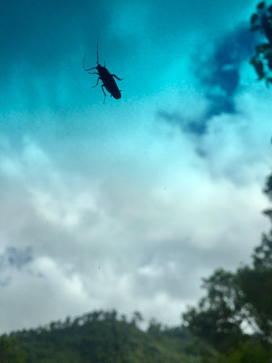 Monstrous en el cielo.