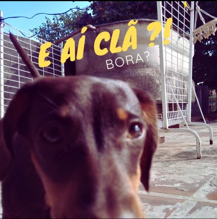 Estagiário na área!!! 

Heroes 6 tá na área, quem já fez a pré-inscrição no discord?