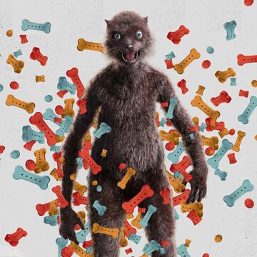 FNBRintel tweet media