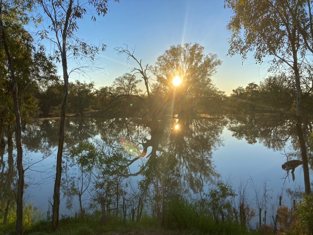 BillOrmonde_2's tweet photo. Absolutely stunning morning by the river here in Wilcannia. When this pandemic is over everyone should come out and visit this place. https://t.co/jfGEN4MDlO