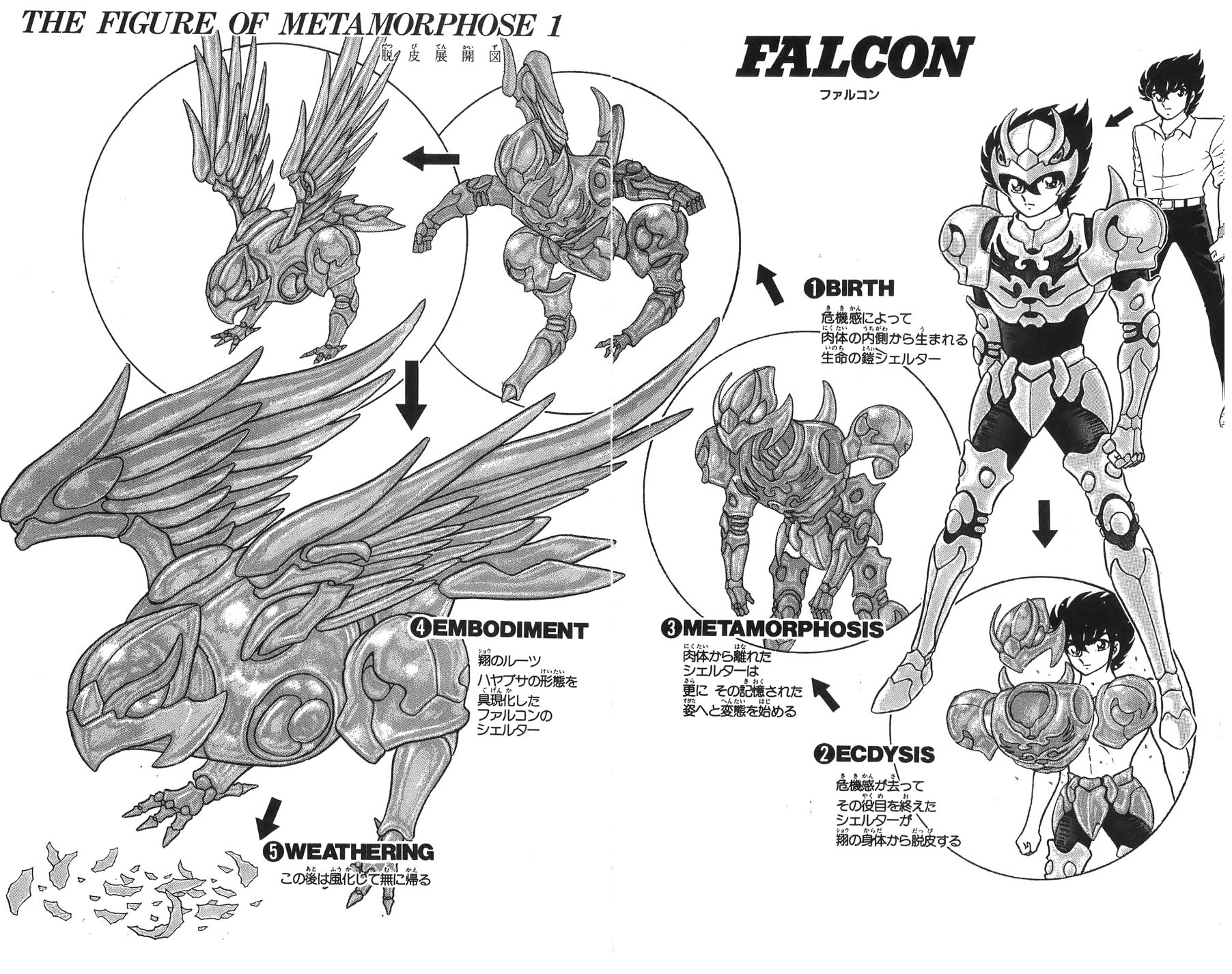 Hasgard Tauro Silent Knights Shō 翔 Portador Del Shelter Del Halcon Ziling 紫鈴 Portadora Del Shelter Del Hada Ryō 涼 Portador Del Shelter Del Pavo Real ōko 皇虎 Portador Del Shelter