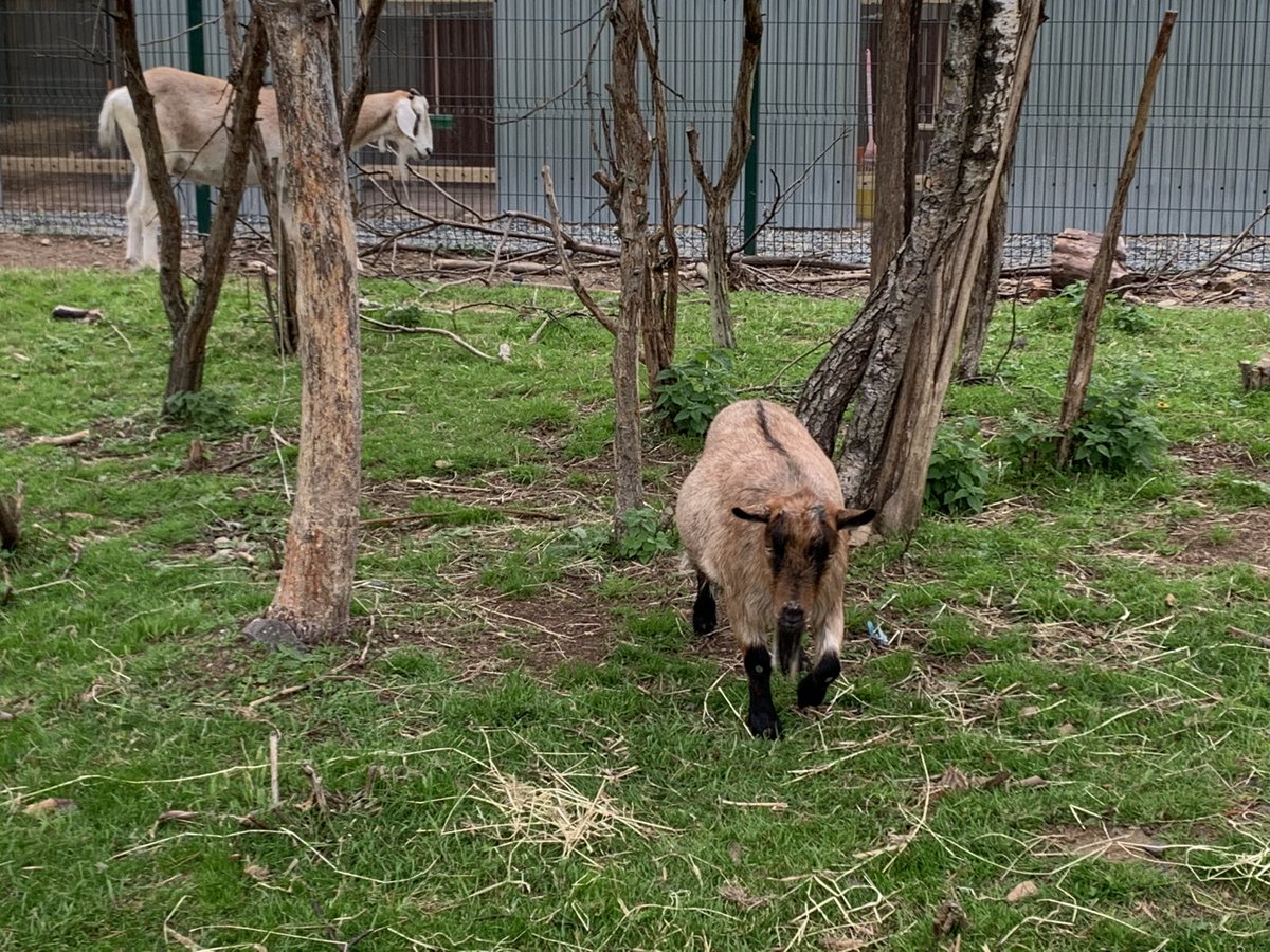 Gavan McAlinden tweet media