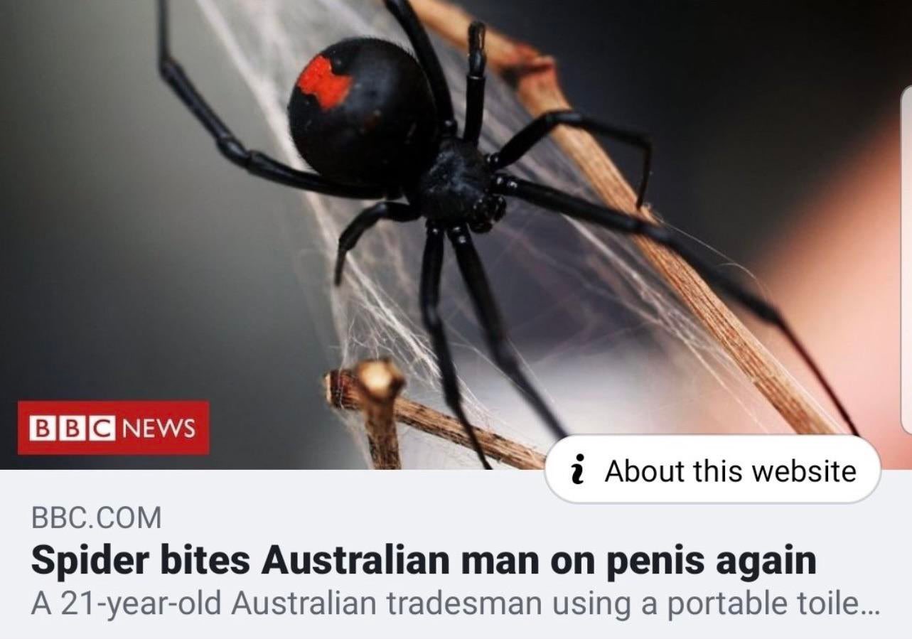 Bbc паук