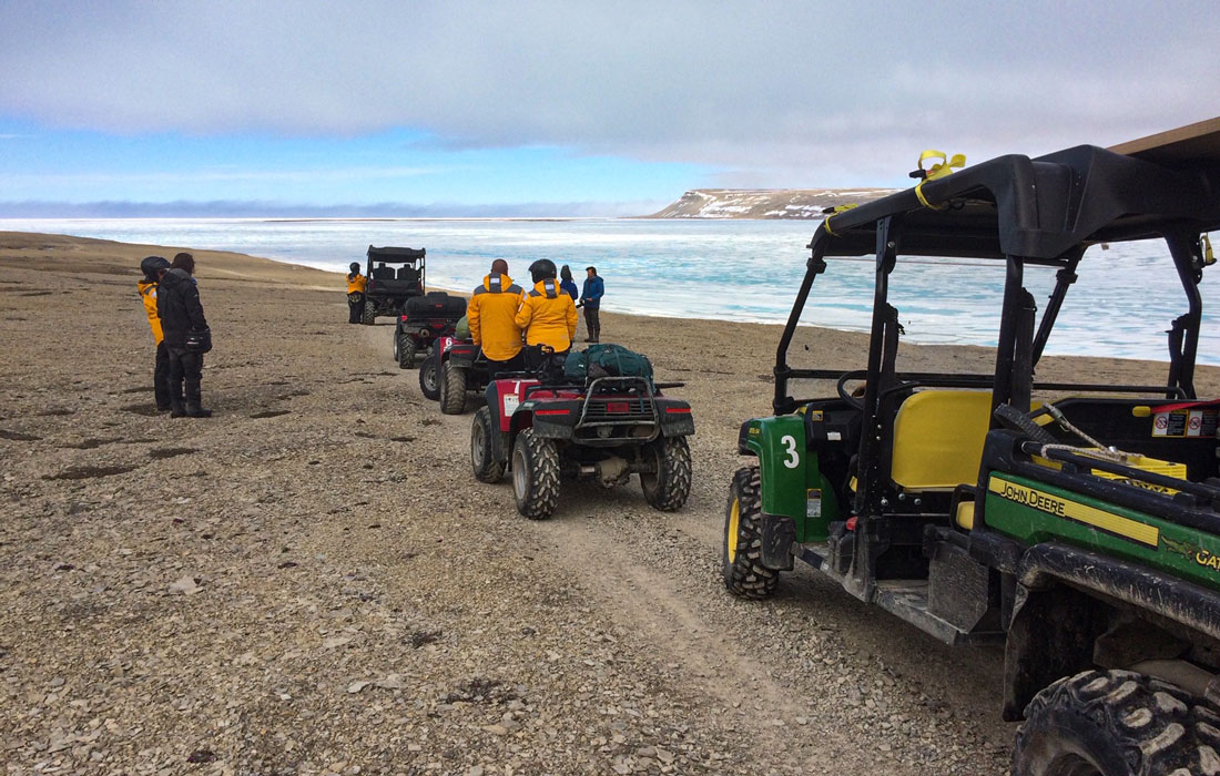 freshtracker's tweet image. Ready to get up close and personal with some of Canada's most majestic wildlife? While on an adventure of a lifetime in the Canadian Arctic, you might see a Muskox—or even polar bears!

ecs.page.link/3GJpN