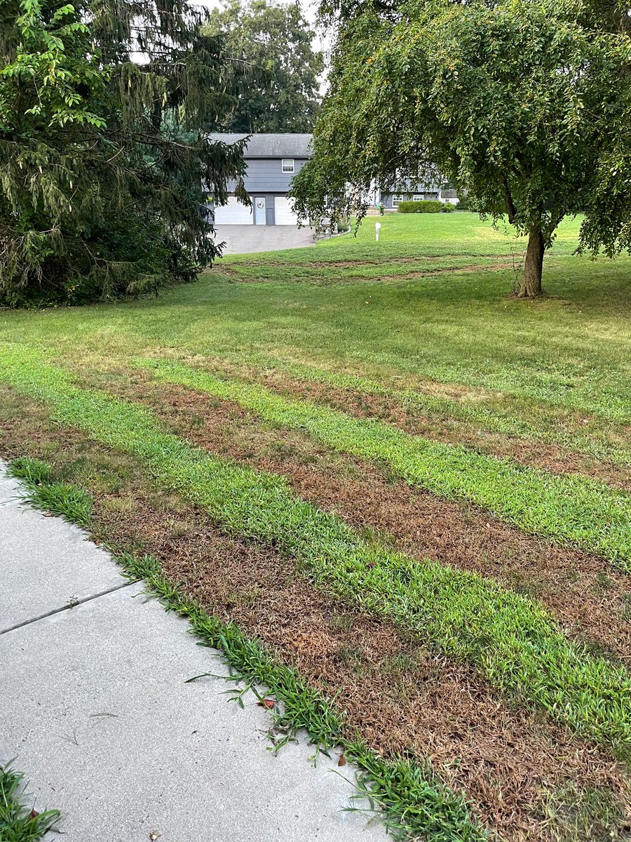 angwylde's tweet photo. @TruGreen at least return their calls after destroying the lawn! Horrible customer service. Ellington CT https://t.co/HlFB9Ij1Rh