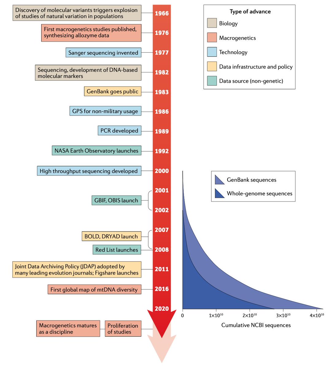 Macrogenetics: compiling genetic, spatial and environmental data to investigate biological questions at huge taxonomic, geographic and/or temporal scales. For more, check out our new review --> rdcu.be/cuSn8