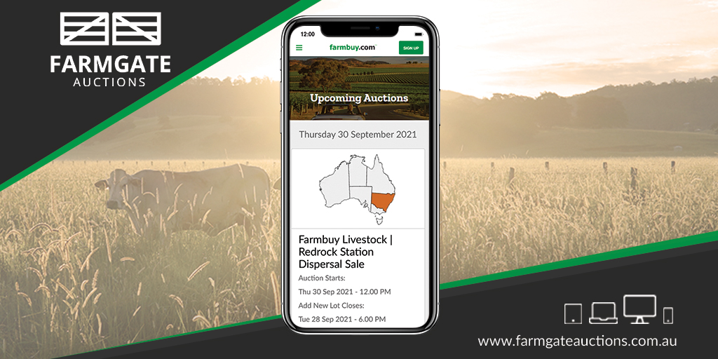 Farmbuy Twitter Search Twitter Farmbuy Twitter Search Twitter