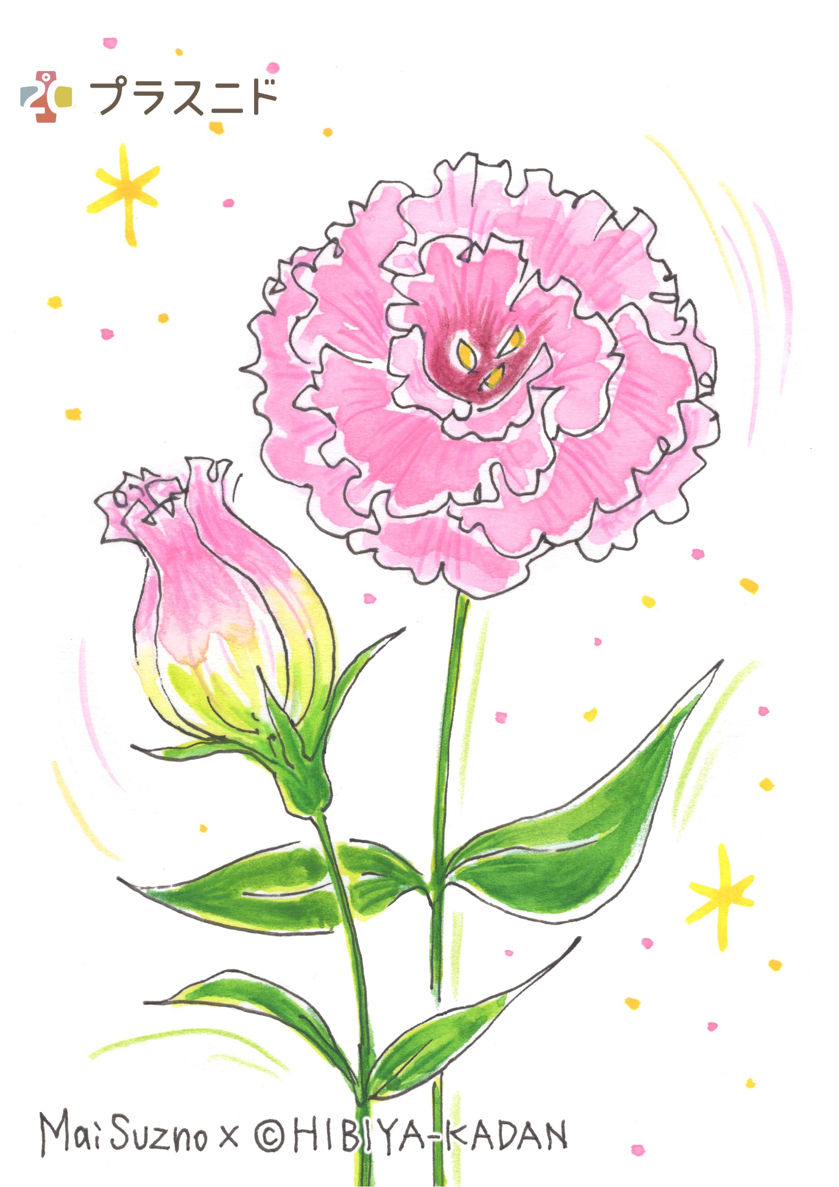 プラスニドmarunouchi 8 19の お花 リシアンサス ピンク 花言葉 明るい希望 T Co Bofwiymkz0 Twitter