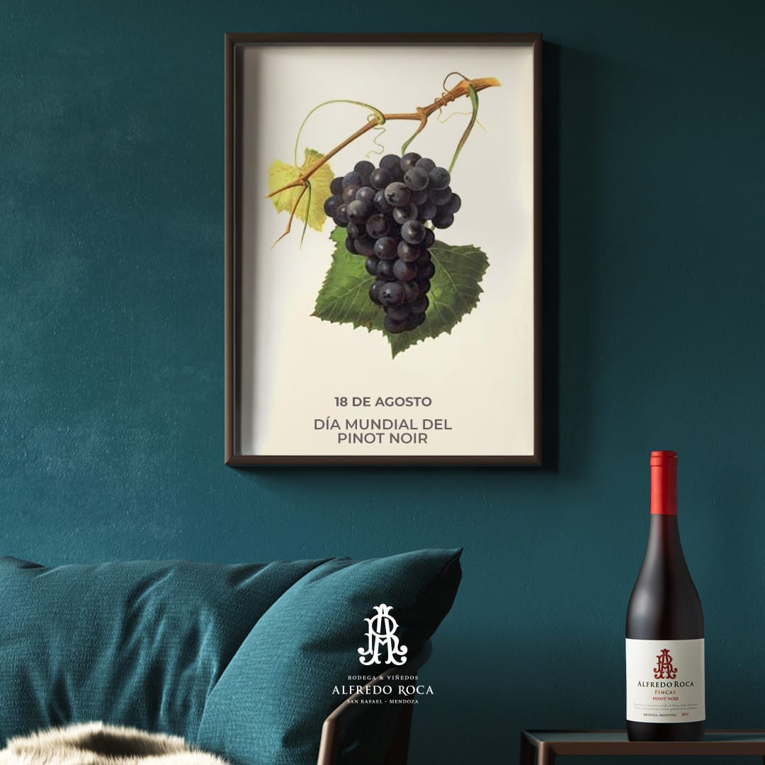 Celebramos el día del #PinotNoir !!
Celebramos 20 años de nuestro Alfredo Roca Fincas Pinot Noir 🍷🍷 desde su primer edición en 2001 es reconocido por ser un gran exponente de la variedad. #SanRafael
#AlfredoRoca #VinosConAlma