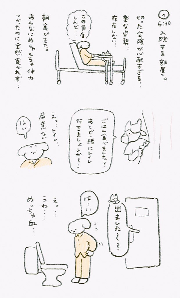 さらにつづき 