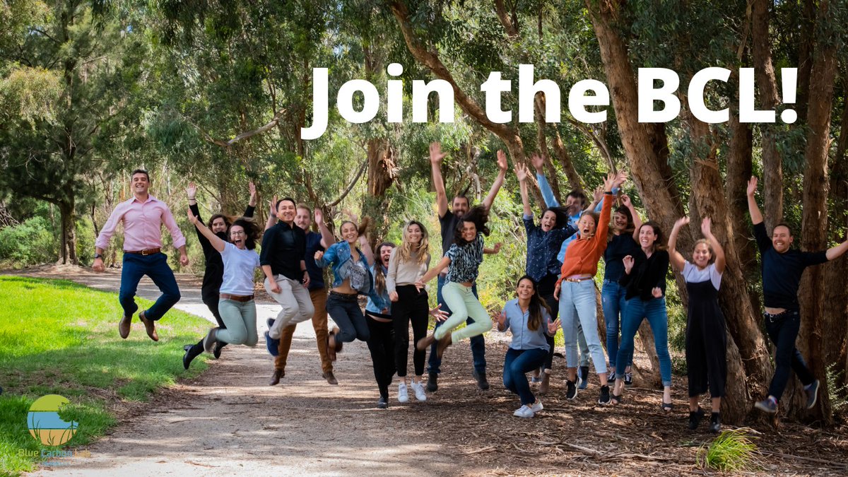 Please RT- job opportunities!

We are seeking multiple #postdoc level positions to work on #bluecarbon research.

Skills sought in spatial science and mathematical modelling, environmental impact assessments, environmental economics, and more!

Learn more:
bluecarbonlab.org/opportunities/