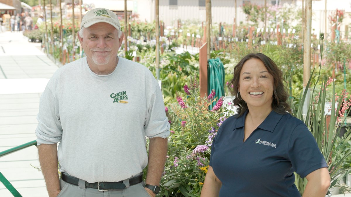 placerwater tweet media