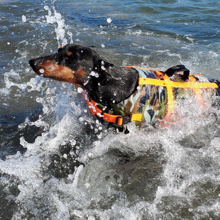 ট ইট র 公式 The Dog Dept Garden Resort 安房白浜 ブログ更新 夏を楽しむワンコ達 T Co Fpjtq9ocji Dogdept Dogdept Camp 犬専用 千葉 ドックデプトキャンプ Dogdeptcamp 安房白浜 Dogcamp Camp 南房総キャンプ ドックフリー ট ইট র 公式 The Dog Dept Garden Resort 安房白浜 ブログ更新 夏を楽しむワンコ達 T Co Fpjtq9ocji Dogdept Dogdept Camp 犬専用 千葉 ドックデプトキャンプ Dogdeptcamp 安房白浜 Dogcamp Camp 南房総キャンプ ドックフリー