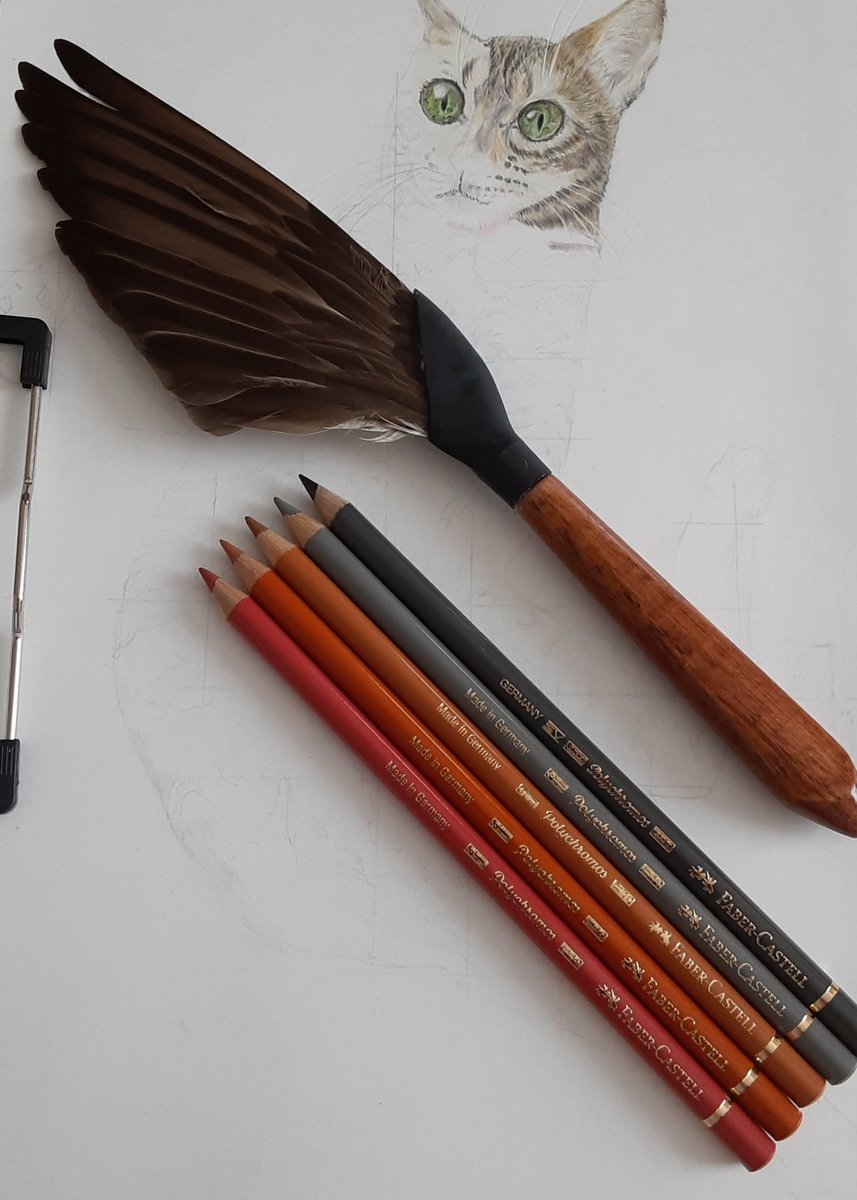 羽ぼうき のイラスト マンガ コスプレ モデル作品 1 件 Twoucan 羽ぼうき のイラスト マンガ コスプレ モデル作品 1 件 Twoucan