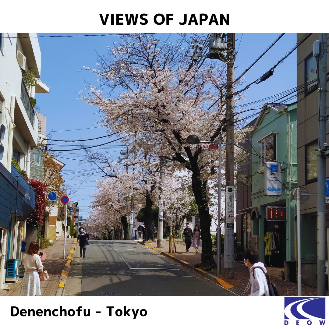 jpnstudynetwork's tweet photo. Dennenchofu is considered one of the most exclusive residential neighborhoods in Tokyo🇯🇵 and is a well-known place among foreigners. 

#traveljapan #japantrave #travelphotography #japan #japon #japanese #japones #tokyo #learnjapanese https://t.co/1jg0treFoc
