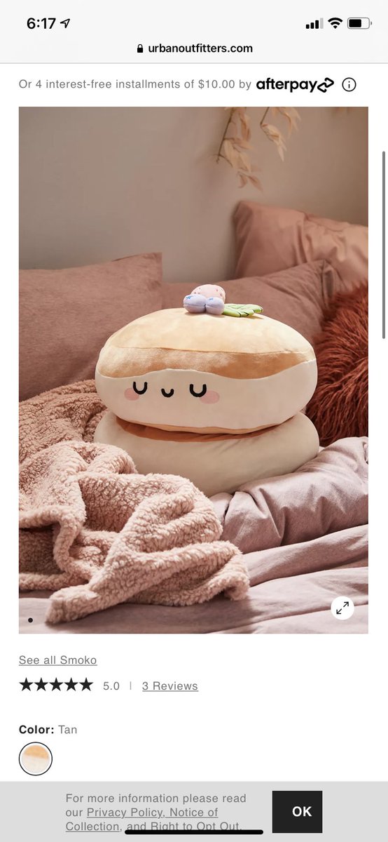 rachel1lin's tweet photo. @jemmakwak also this pancake squishmallow on urban outfitters (its on backorder but would come in october i think?) https://t.co/As9uRhdAAy