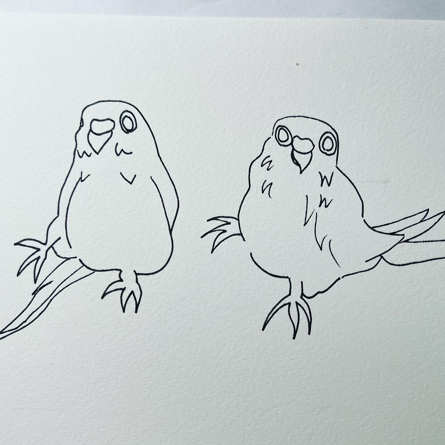 インコイラスト Twitter Search Twitter