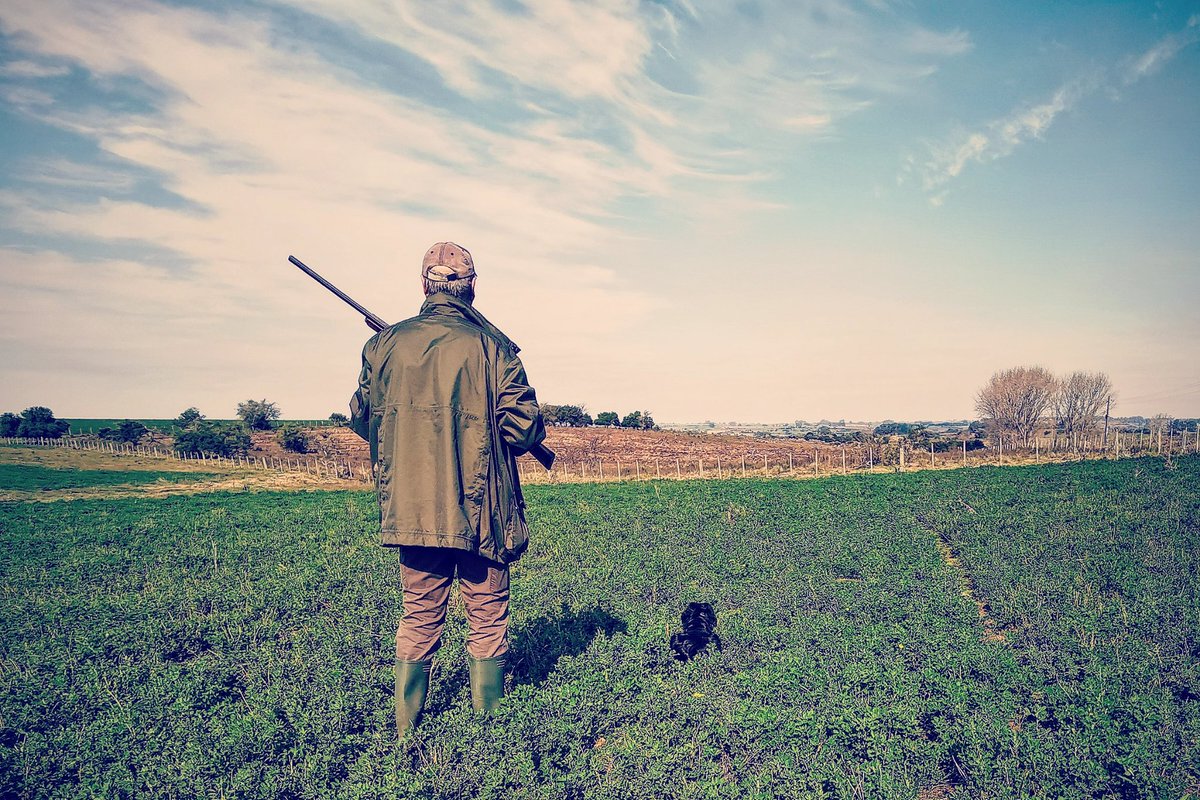 wldbunch's tweet photo. Meanwhile we're setting everything up for the next season, we share some pictures from past hunts. We wish you a very nice 2022 hunting season the way you used to spend among us. ⁣
⁣⁣
⁣⁣#orvisdogs #brittany #brittanyspaniel #berettadogs #birddog⁣⁣⁣
#wingshooting https://t.co/eui5oRsQes