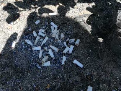 いわき ら ら ミュウ 駐車場の植え込みに 時より捨てられているタバコの吸い殻 たまたま 同じような場所なのか たまたま 同じ銘柄なのか 悲しくなる 小名浜 いわきららミュウ ららみゅう タバコ T Co Qoz7fx7ybe
